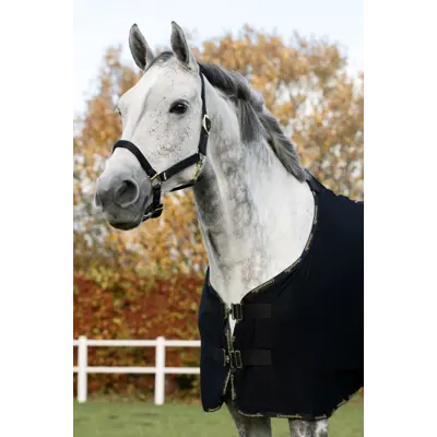 Coolerdekken svart, bilde 2