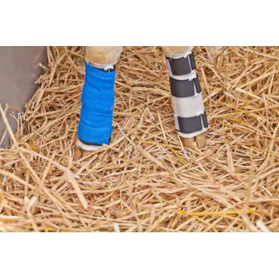 Leggskinne for kalv CS22, bilde 2