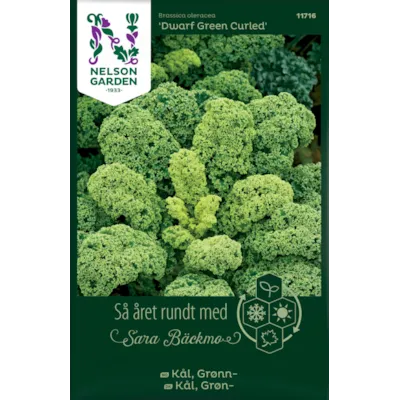 Frø grønnkål Dwarf Green Curled
