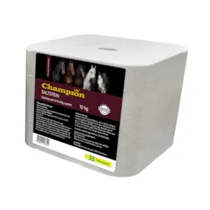 Saltstein 10 kg