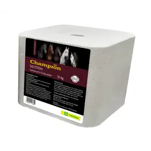 Saltstein 10 kg