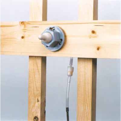 Drikkeslange for lam med ventil