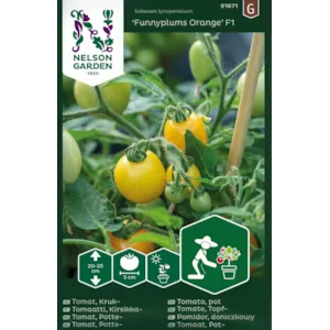 Frø cherrytomat potte Funnyplums Orange