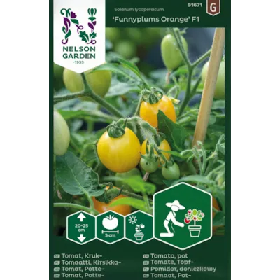 Frø cherrytomat potte Funnyplums Orange