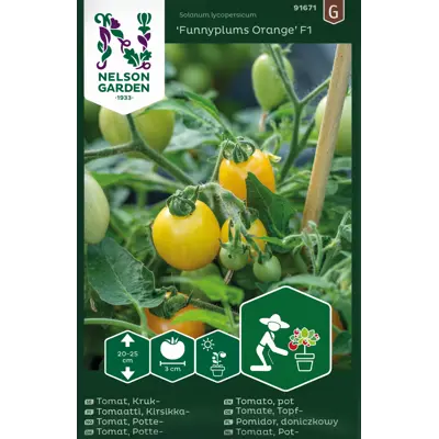 Frø cherrytomat potte Funnyplums Orange