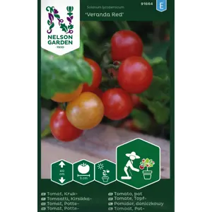Frø cherrytomat potte Veranda Red