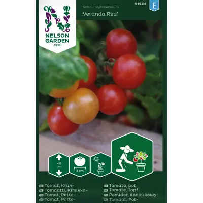 Frø cherrytomat potte Veranda Red