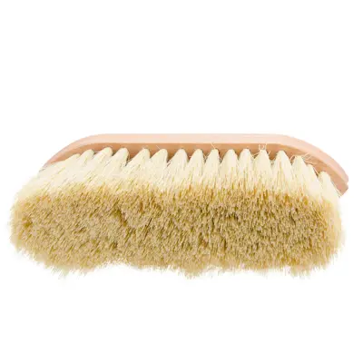 Børste Mexico, bilde 2