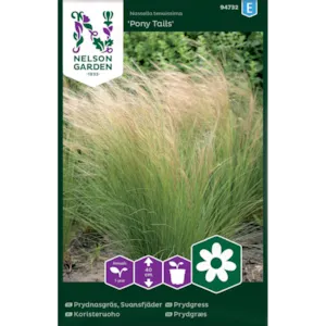 Frø prydgress Pony Tails