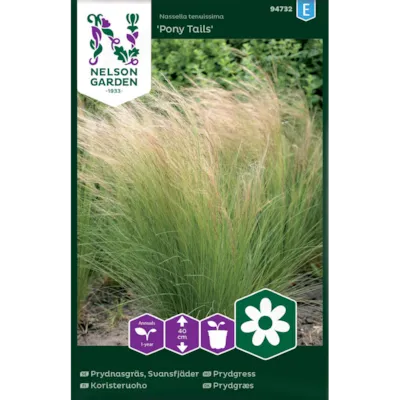 Frø prydgress Pony Tails