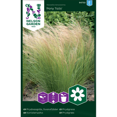 Frø prydgress Pony Tails