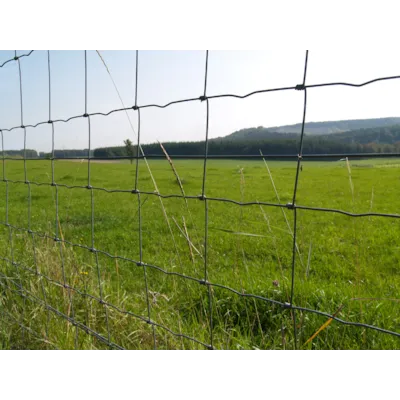 Lammenetting 100-15-15, 3 mm 100 m, bilde 2