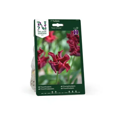 Høstløk tulipan Red Dress