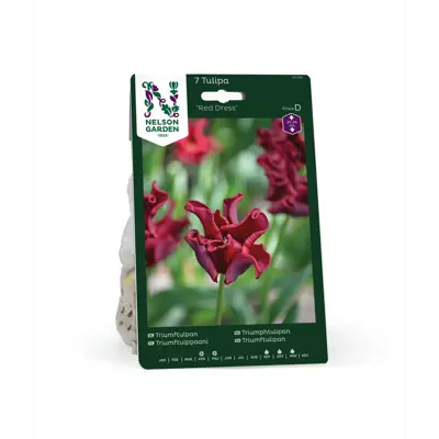 Høstløk tulipan Red Dress