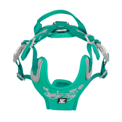 Hundesele Weekend Warrior turkis, bilde 2