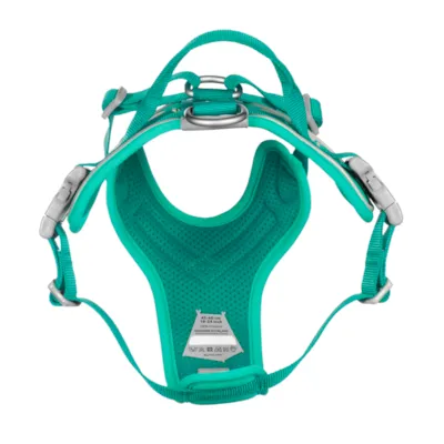 Hundesele Weekend Warrior turkis, bilde 4
