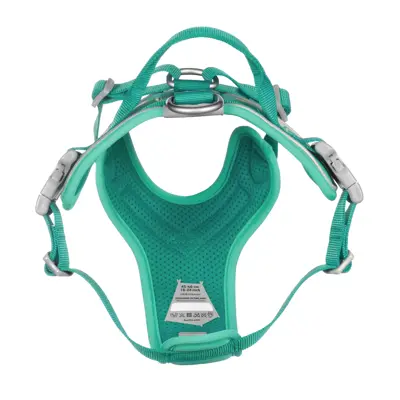 Hundesele Weekend Warrior turkis, bilde 4