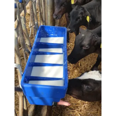 Melkebar CN5 kalv 5 smokker, bilde 2