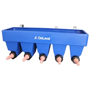 Melkebar CN5 kalv 5 smokker