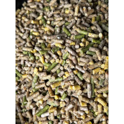 Fjørfefôr sølvkorn 25 kg, bilde 2