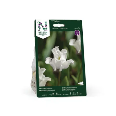 Høstløk tulipan White Liberstar