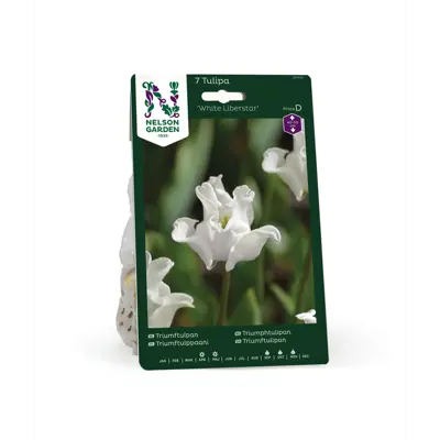 Høstløk tulipan White Liberstar