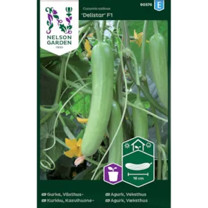 Frø slangeagurk Delistar