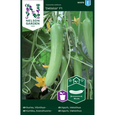 Frø slangeagurk Delistar