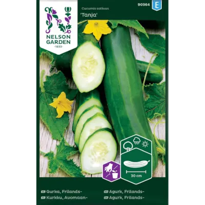 Frø frilandsagurk Tanja
