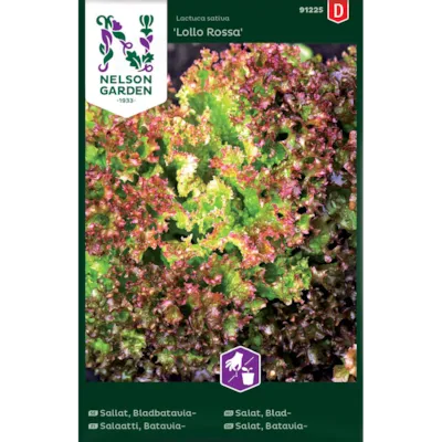 Frø bladsalat Lollo Rossa