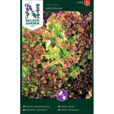 Frø bladsalat Lollo Rossa