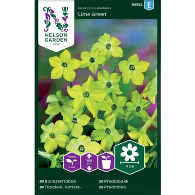 Frø prydtobakk Lime Green