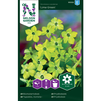 Frø prydtobakk Lime Green