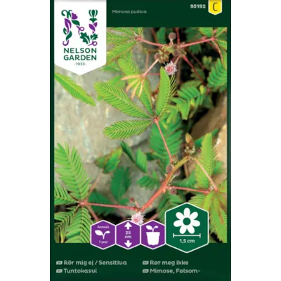 Frø rør meg ikke, bilde 2