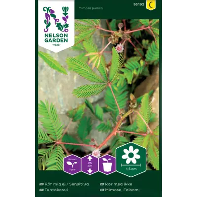 Frø rør meg ikke, bilde 2