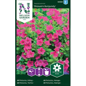 Frø hengepetunia Showers Burgundy