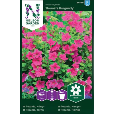 Frø hengepetunia Showers Burgundy
