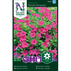 Frø hengepetunia Showers Burgundy