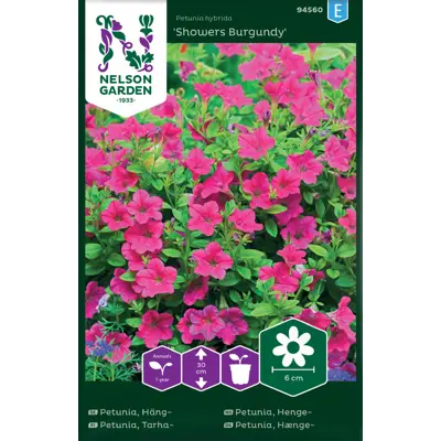 Frø hengepetunia Showers Burgundy