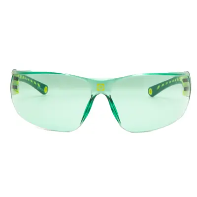 Vernebrille grønn