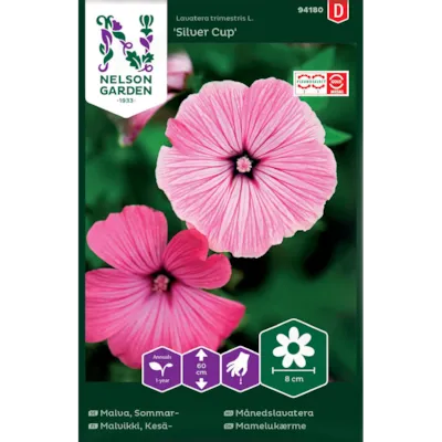 Frø månedslavatera Silver Cup