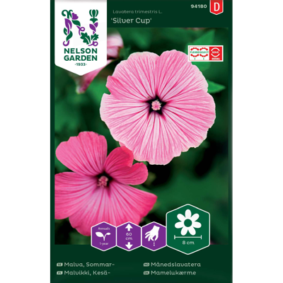 Frø månedslavatera Silver Cup