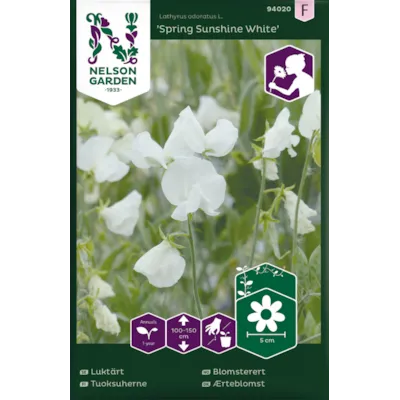 Frø blomsterert Spring Sunshine White
