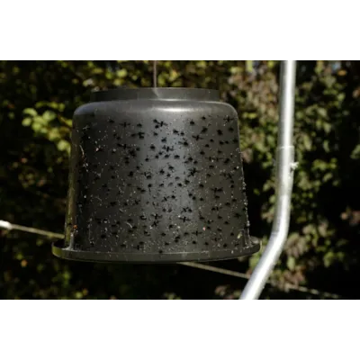 Klegg og fluefangerlim Cit TaonX, bilde 2