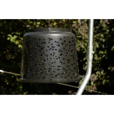 Klegg og fluefangerlim Cit TaonX, bilde 2