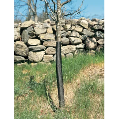 Gnagerbeskyttelse 80 cm, bilde 2