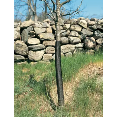 Gnagerbeskyttelse 80 cm, bilde 2