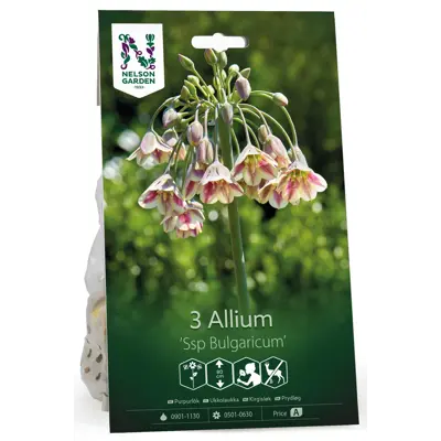 Høstløk kirgisløk Ssp Bulgaricum