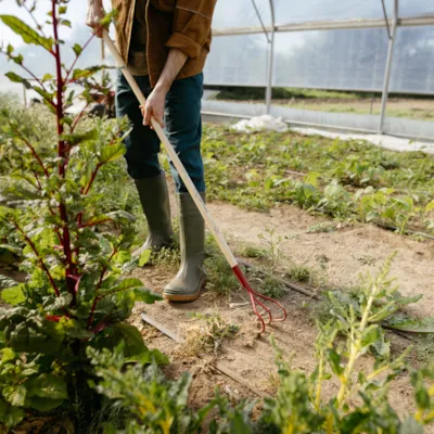 Kultivator 3-klo Classic, bilde 2