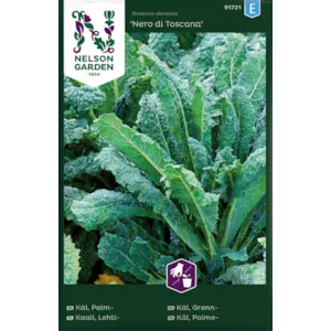 Frø grønnkål Nero di Toscana